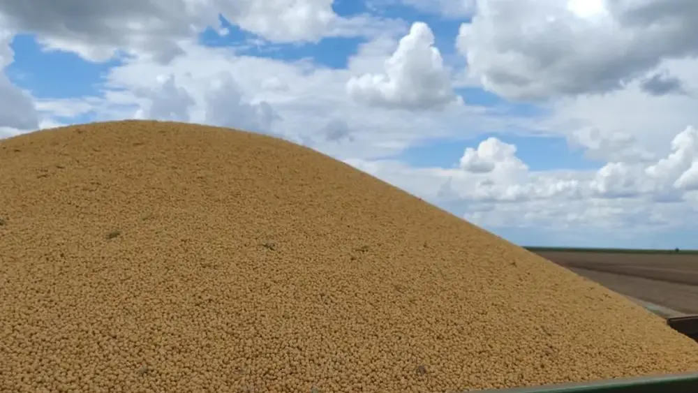 Brazil Corn Harvest Reaches 75% Across 1.6 Million Hectares in MS