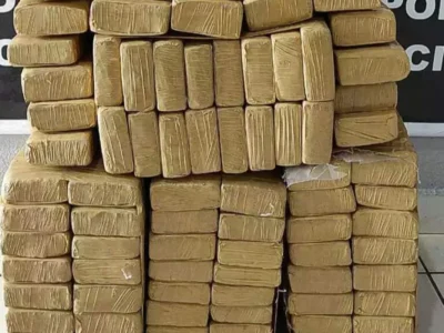 Brazilian arrested with 394 kilos of marijuana bound for capital