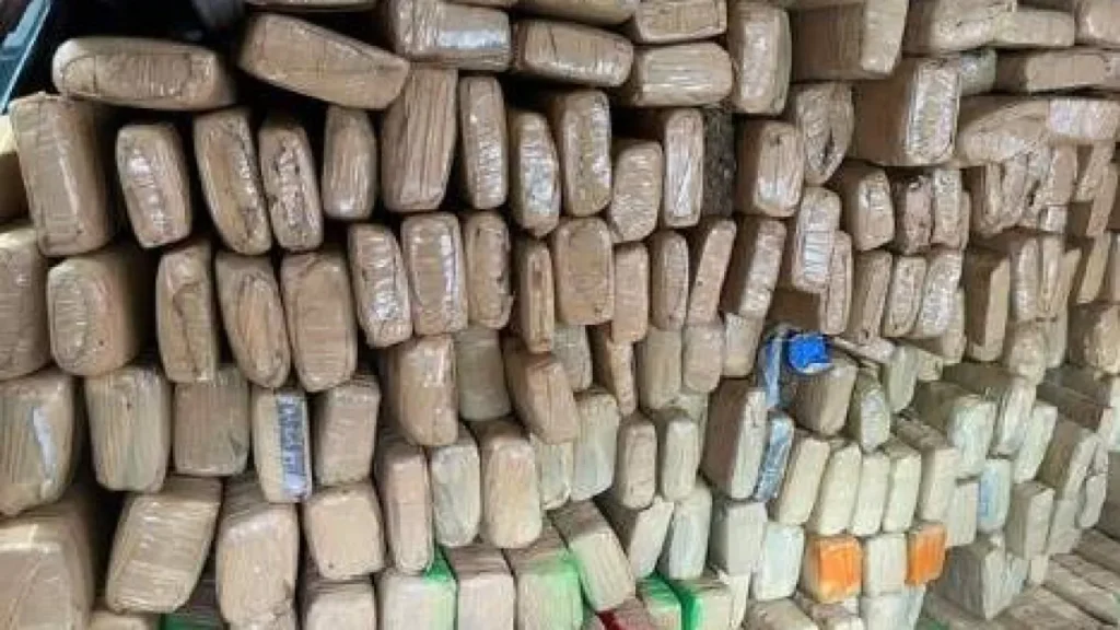 Brazil convicts trio in 1.8-ton Paraguay marijuana smuggling case