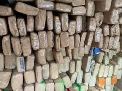 Brazil convicts trio in 1.8-ton Paraguay marijuana smuggling case