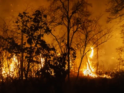 Brazil court rules Arauco must pay worker exposed to fires
