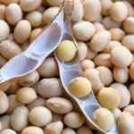 Brazil Soy Prices Jump $3 in Year, While Corn Holds Steady