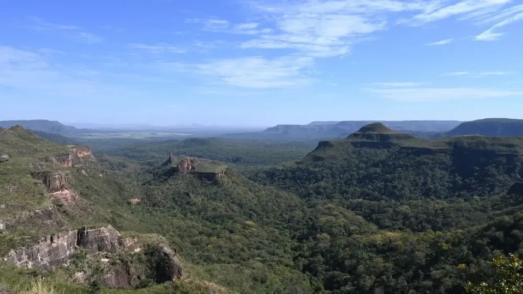 Brazil deforestation drops 65% in Pantanal, 11.5% in Cerrado