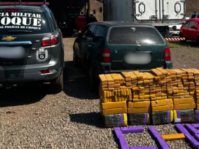 Brazil woman arrested with 900 pounds of marijuana for jailed husband