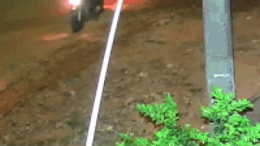 Brazil Shooting Suspects Flee Scene on Camera After Attack